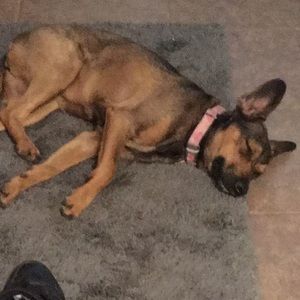 Meet your Posher, Lisa